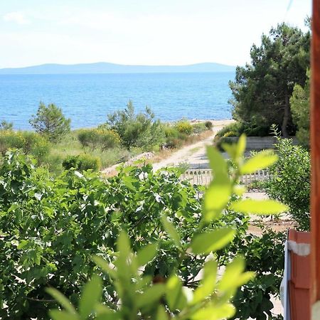 Apartments Vir Delfin Εξωτερικό φωτογραφία