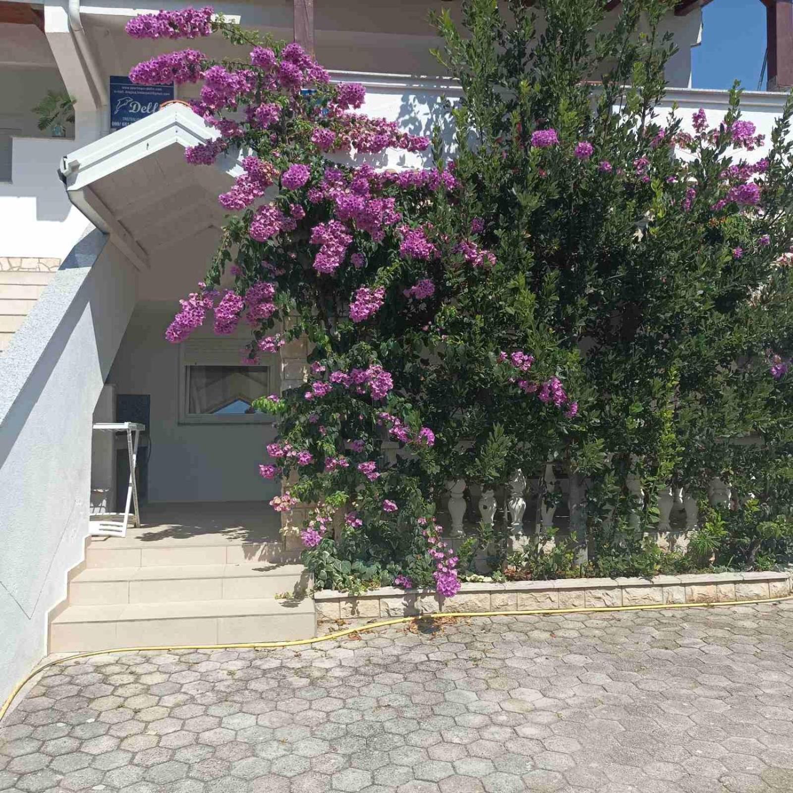Apartments Vir Delfin Εξωτερικό φωτογραφία
