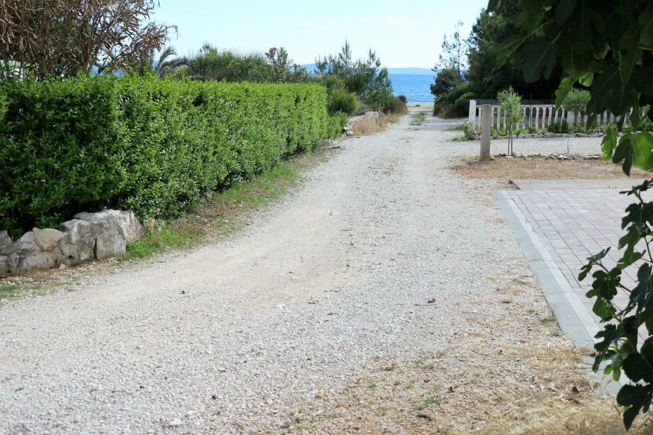 Apartments Vir Delfin Εξωτερικό φωτογραφία