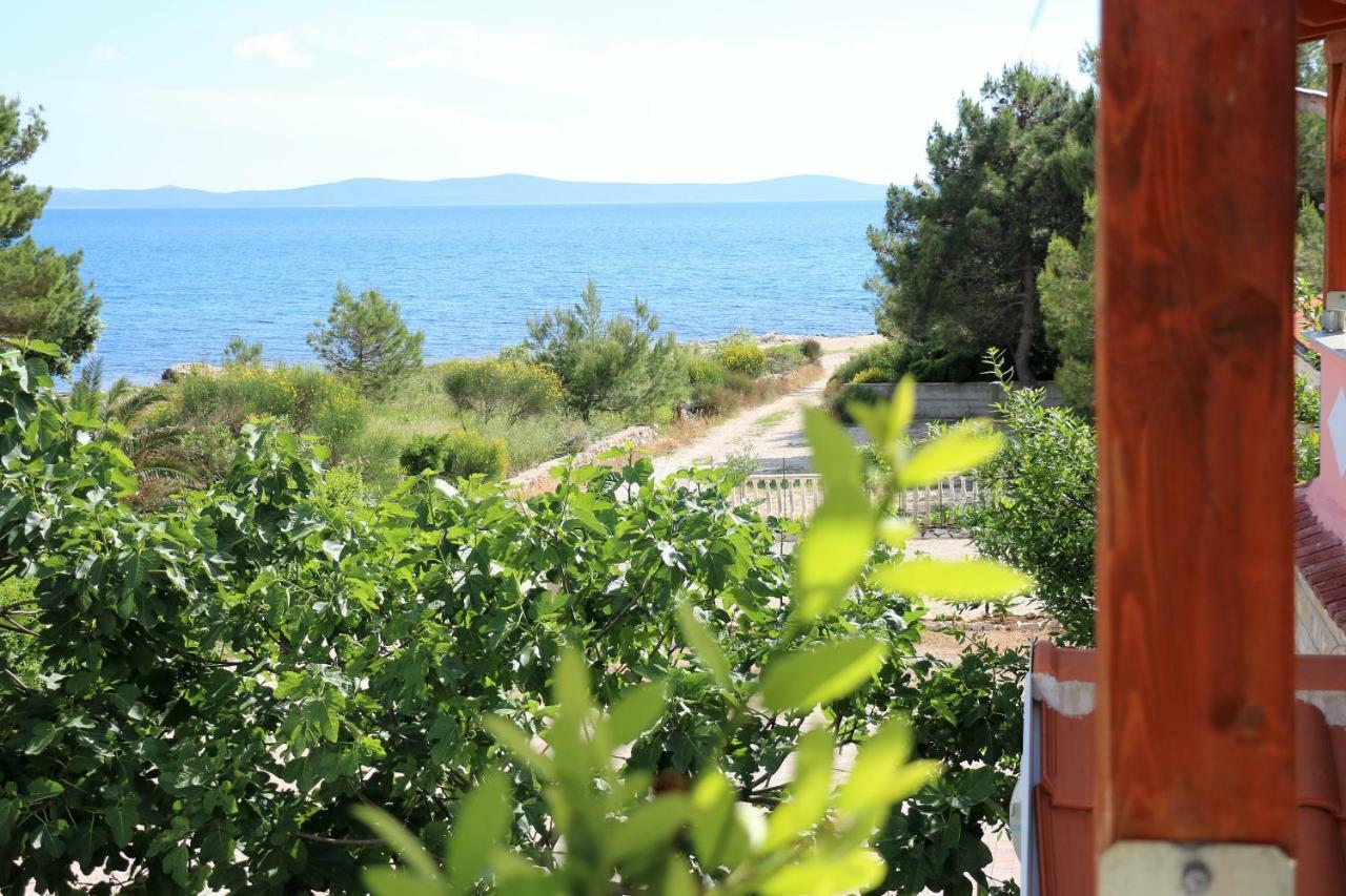 Apartments Vir Delfin Εξωτερικό φωτογραφία