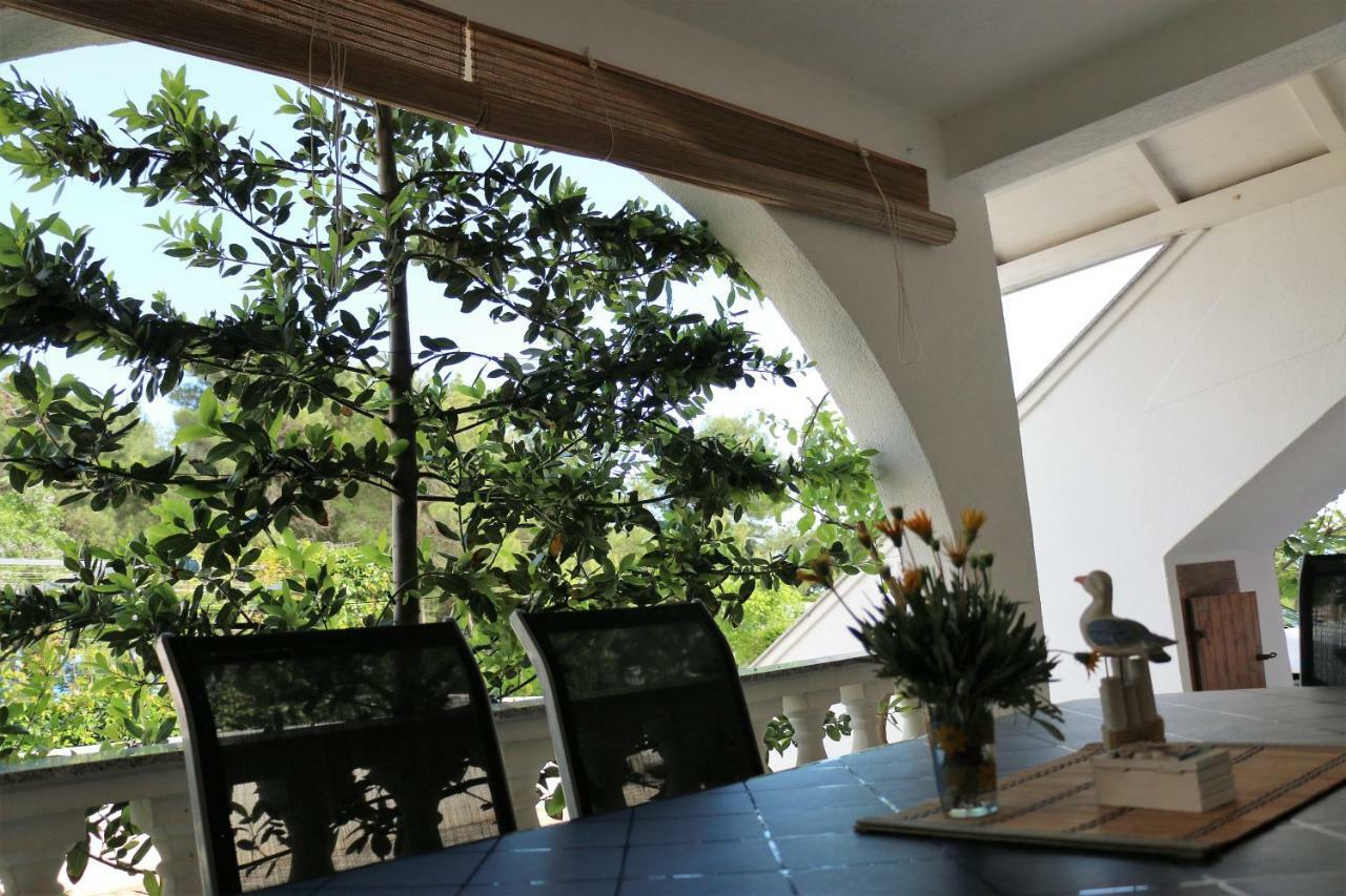 Apartments Vir Delfin Εξωτερικό φωτογραφία