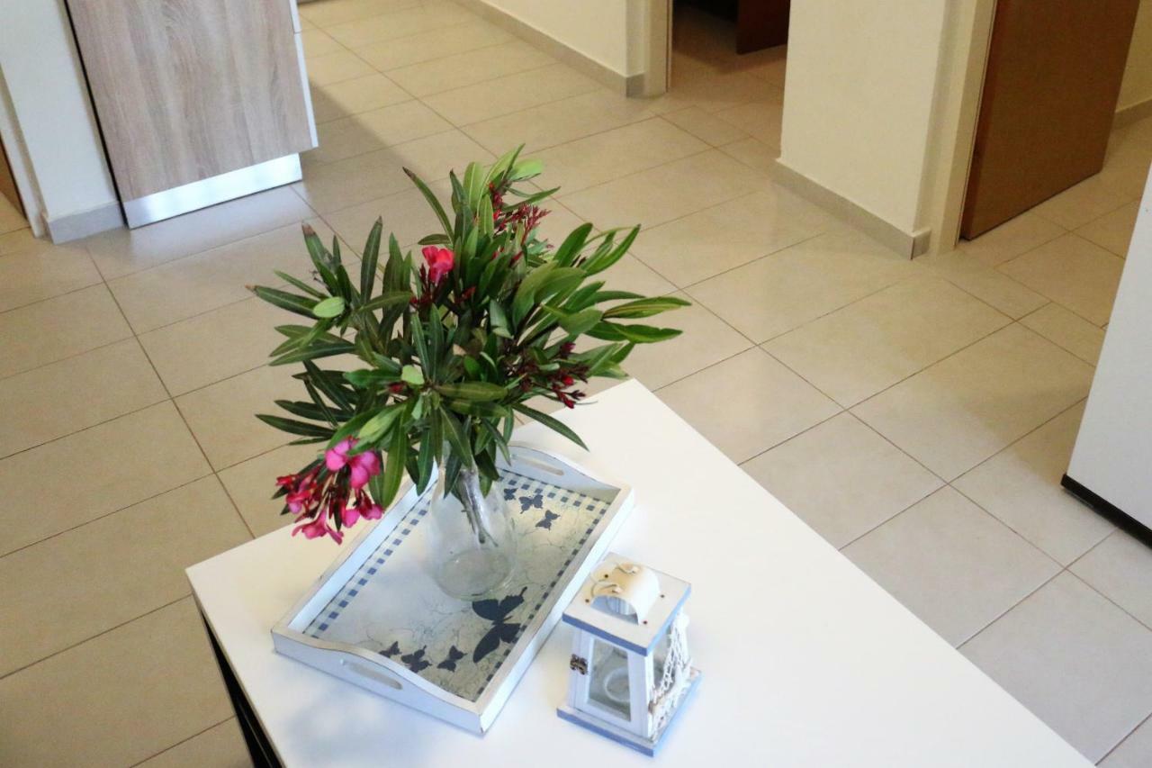 Apartments Vir Delfin Εξωτερικό φωτογραφία