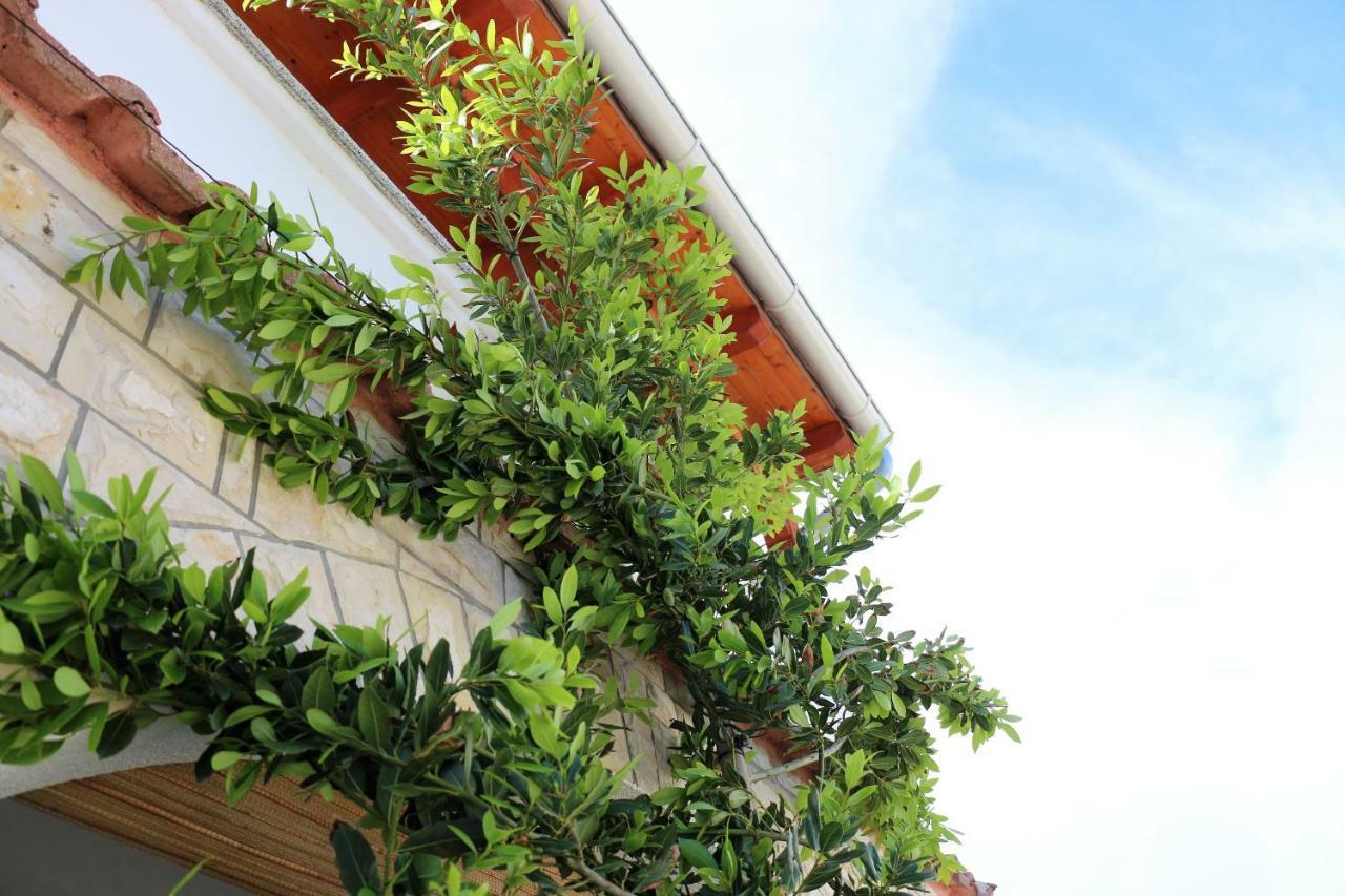 Apartments Vir Delfin Εξωτερικό φωτογραφία